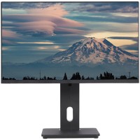 23.8" Монитор Lime F238L черный