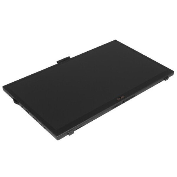 15.6" Монитор ASUS ProArt PA169CDV черный