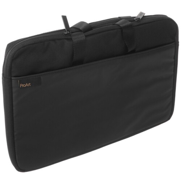 15.6" Монитор ASUS ProArt PA169CDV черный