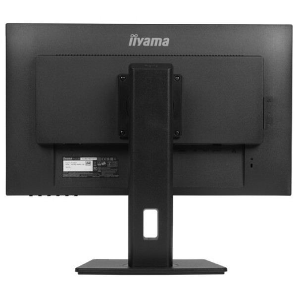 24" Монитор Iiyama ProLite XUB2492HSN-B5 черный