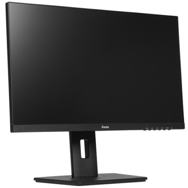 24" Монитор Iiyama ProLite XUB2492HSN-B5 черный
