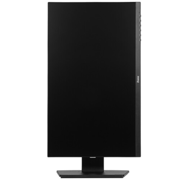 24" Монитор Iiyama ProLite XUB2492HSN-B5 черный