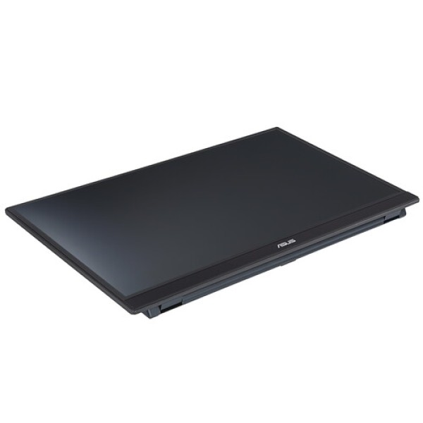 17" Монитор ASUS ZenScreen MB17AHG черный