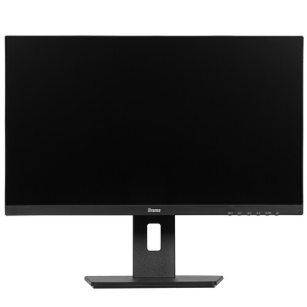 24" Монитор Iiyama ProLite XUB2492HSN-B5 черный