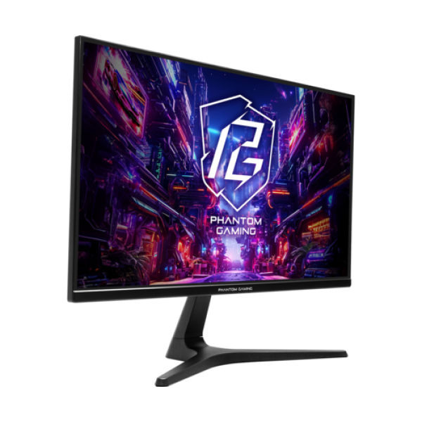 24.5" Монитор AsRock PG25FFT черный