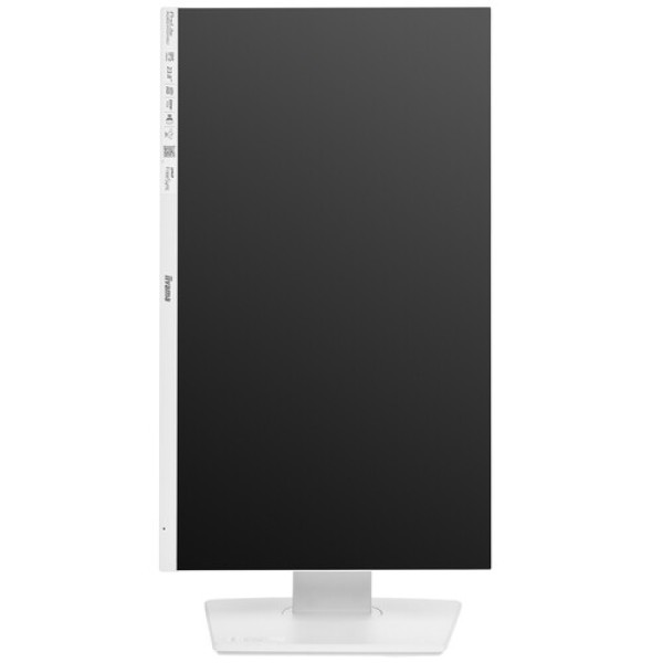 23.8" Монитор Iiyama ProLite XUB2492HSU-W6 белый