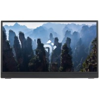 15.6" Монитор DEXP DF16N1 черный