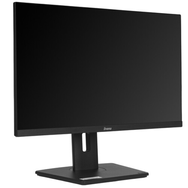 23.8" Монитор Iiyama ProLite XUB2492HSU-B6 черный