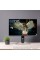 27" Монитор BenQ Mobiuz EX2710S черный