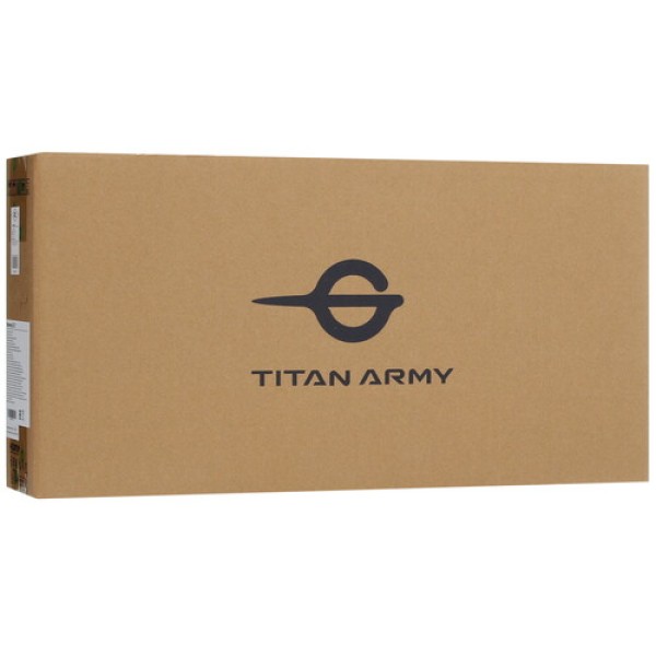 23.3" Монитор Titan Army P23H2M черный