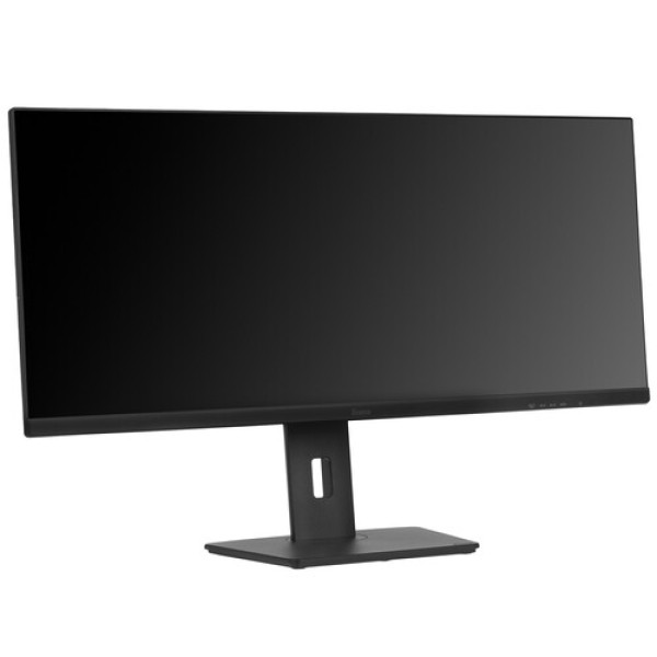 34" Монитор Iiyama ProLite XUB3493WQSU-B5 черный