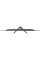 27" Монитор Leff 27FV100 черный
