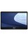 15.6" Моноблок ASUS ExpertCenter E1 E1600WKAT-BMR008X [90PT0391-M00UF0]