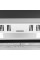 21.45" Моноблок ASUS E3 E3202WVA-WPB0080 [90PT03U1-M00230]