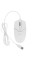 23.8" Моноблок Teclast K24 [K24 Air N1008G256KRU]