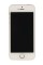 Смартфон Apple iPhone SE 16Gb Rose Gold 2x1.8Ghz/2048Mb/1136x640/IPS/LTE/GPS/Cam12/iOS