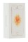 Смартфон Apple iPhone SE 64Gb Gold 2x1.8Ghz/2048Mb/1136x640/IPS/LTE/GPS/Cam12/iOS