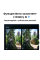 8" Смартфон Samsung Galaxy Z Fold7 1024 ГБ черный