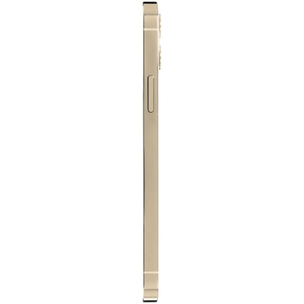 Смартфон Apple iPhone 12 Pro 256Gb Gold
