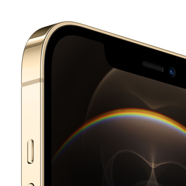 Смартфон Apple iPhone 12 Pro Max 128Gb Gold